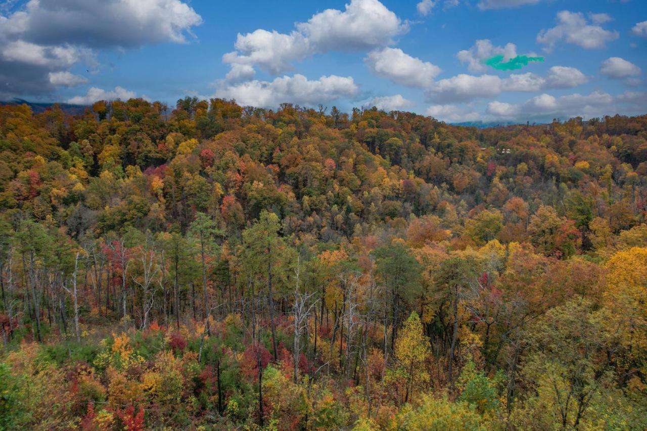 The Overlook - '21 Cabin - Gorgeous Unobstructed Views - Fire Pit Table - Gamerm - Hottub - Xbox - Lots Of Bears Gatlinburg Eksteriør bilde